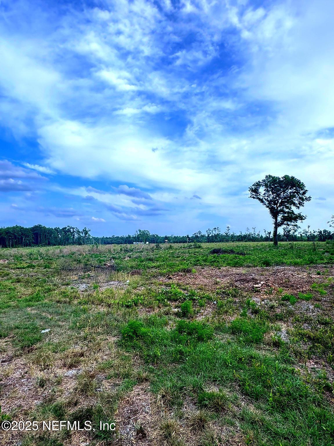 2006 Northwest Thunder Road White Springs, FL 32096 - Photo 2 of 12 a view of a city with lush green forest