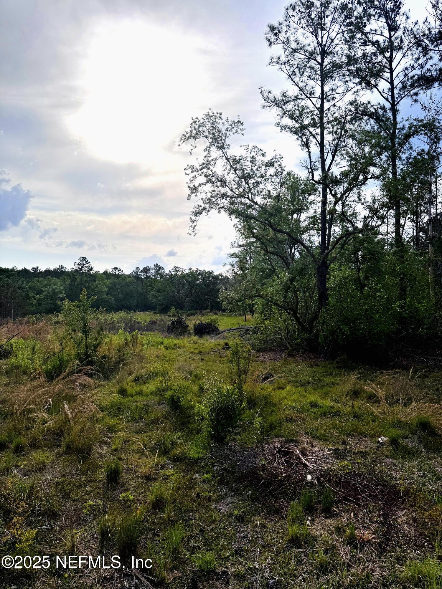 2006 Northwest Thunder Road White Springs, FL 32096 - Photo 5 of 12 a view of a lake with green space