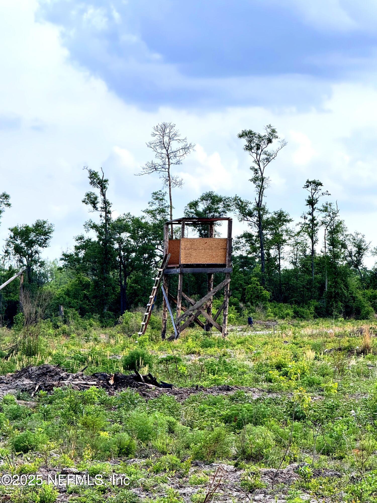 2006 Northwest Thunder Road White Springs, FL 32096 - Photo 9 of 12