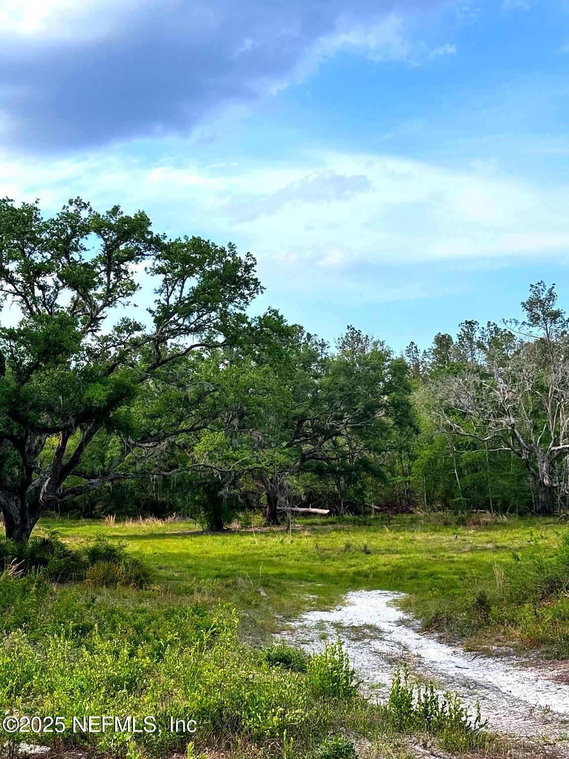 2006 Northwest Thunder Road White Springs, FL 32096 - Photo 10 of 12 a view of a big yard with lots of green space