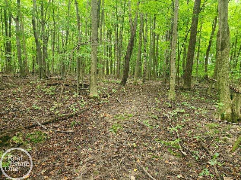 Vl Sheridan Road Emmett, MI 48022 - Photo 4 of 16