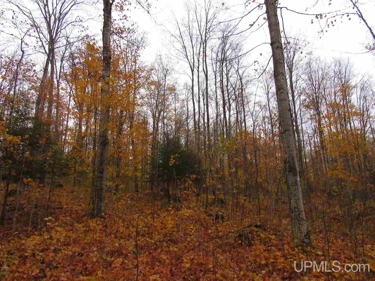 16922 29.5 Road Cooks, MI 49817 - Photo 19 of 33