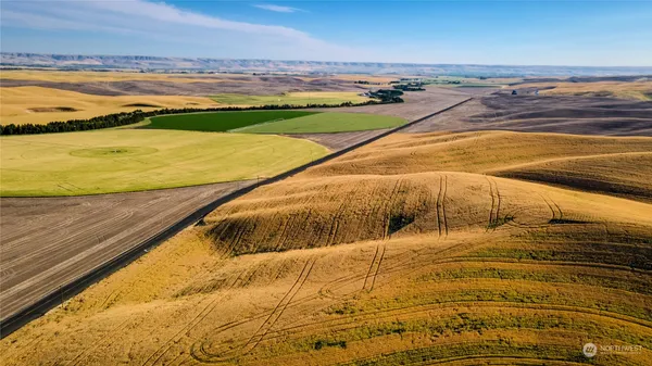 $399,000 | 1-lot Loney Road, Walla Walla, WA 99362