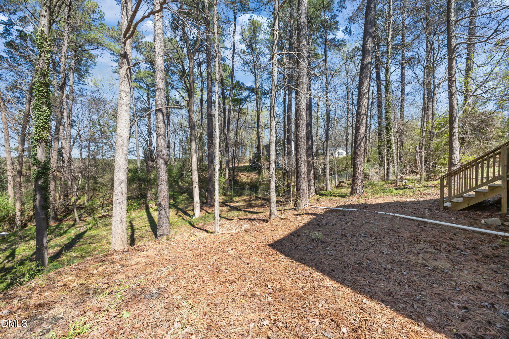 1109 Thelonious Drive Raleigh, NC 27610 - Photo 28 of 32 43-web-or-mls-IMG_9477