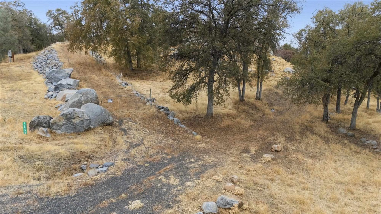 13950 Florence Way Sonora, CA 95370 - Photo 17 of 18 a view of a yard with trees