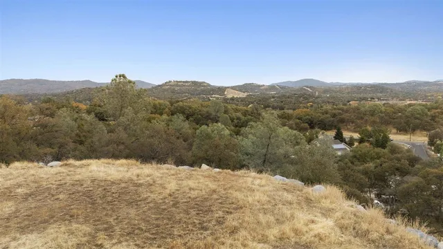 a view of a dry yard with trees in the background