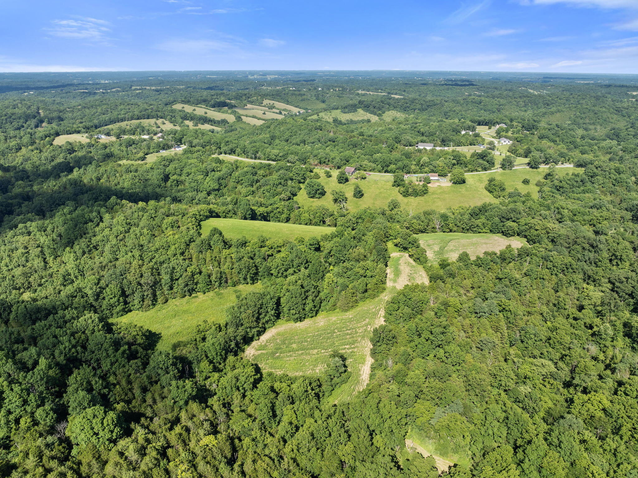 0 Johnson Road Carlisle, KY 40311 - Photo 1 of 18 83 M/L Acres