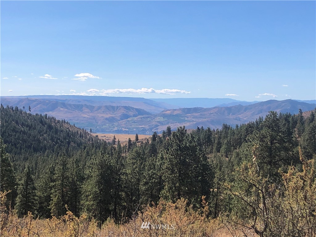 -xxxx Swanson Gulch Road Manson, WA 98831 - Photo 1 of 22 Gallery Image 1