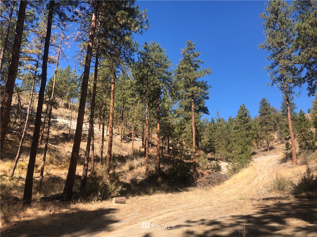 -xxxx Swanson Gulch Road Manson, WA 98831 - Photo 2 of 22 Gallery Image 2