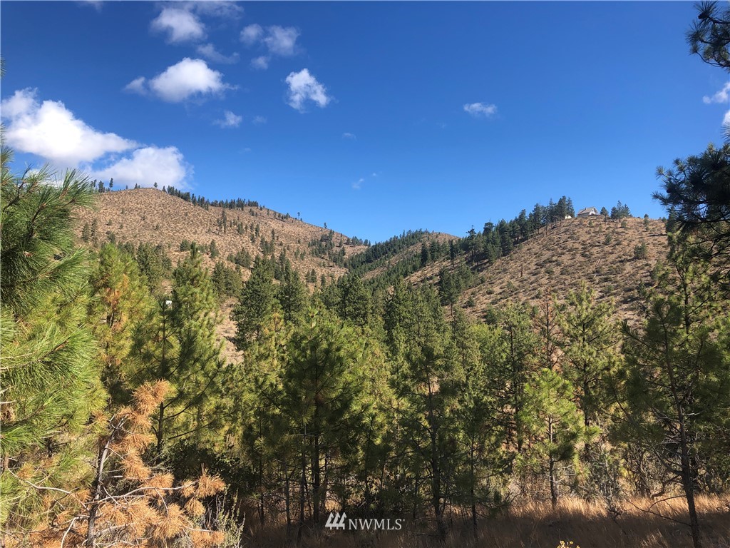 -xxxx Swanson Gulch Road Manson, WA 98831 - Photo 11 of 22 Gallery Image 11
