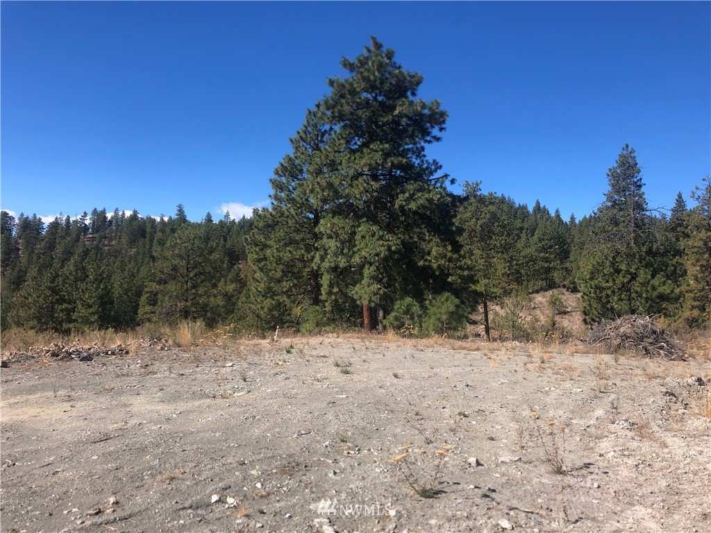 -xxxx Swanson Gulch Road Manson, WA 98831 - Photo 12 of 22 Gallery Image 12