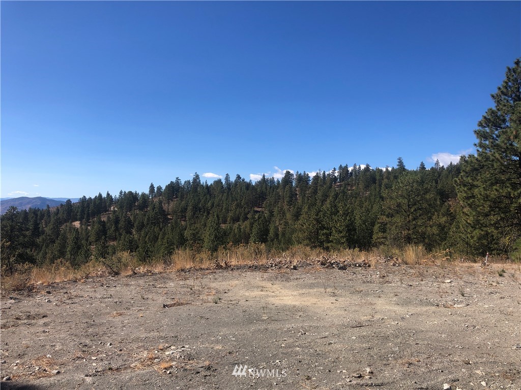 -xxxx Swanson Gulch Road Manson, WA 98831 - Photo 13 of 22 Gallery Image 13