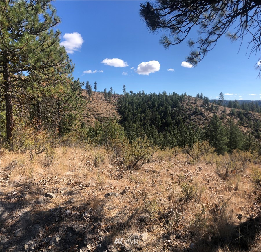 -xxxx Swanson Gulch Road Manson, WA 98831 - Photo 14 of 22 Gallery Image 14