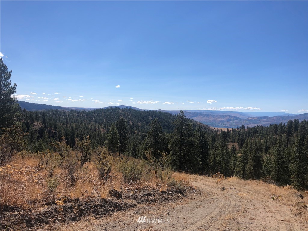 -xxxx Swanson Gulch Road Manson, WA 98831 - Photo 16 of 22 Gallery Image 16