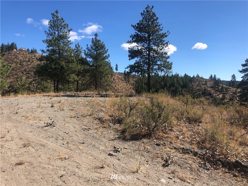 -xxxx Swanson Gulch Road Manson, WA 98831 - Photo 17 of 22 Gallery Image 17