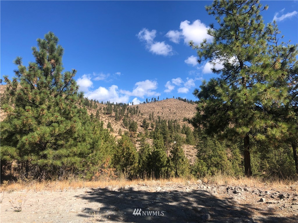 -xxxx Swanson Gulch Road Manson, WA 98831 - Photo 18 of 22 Gallery Image 18