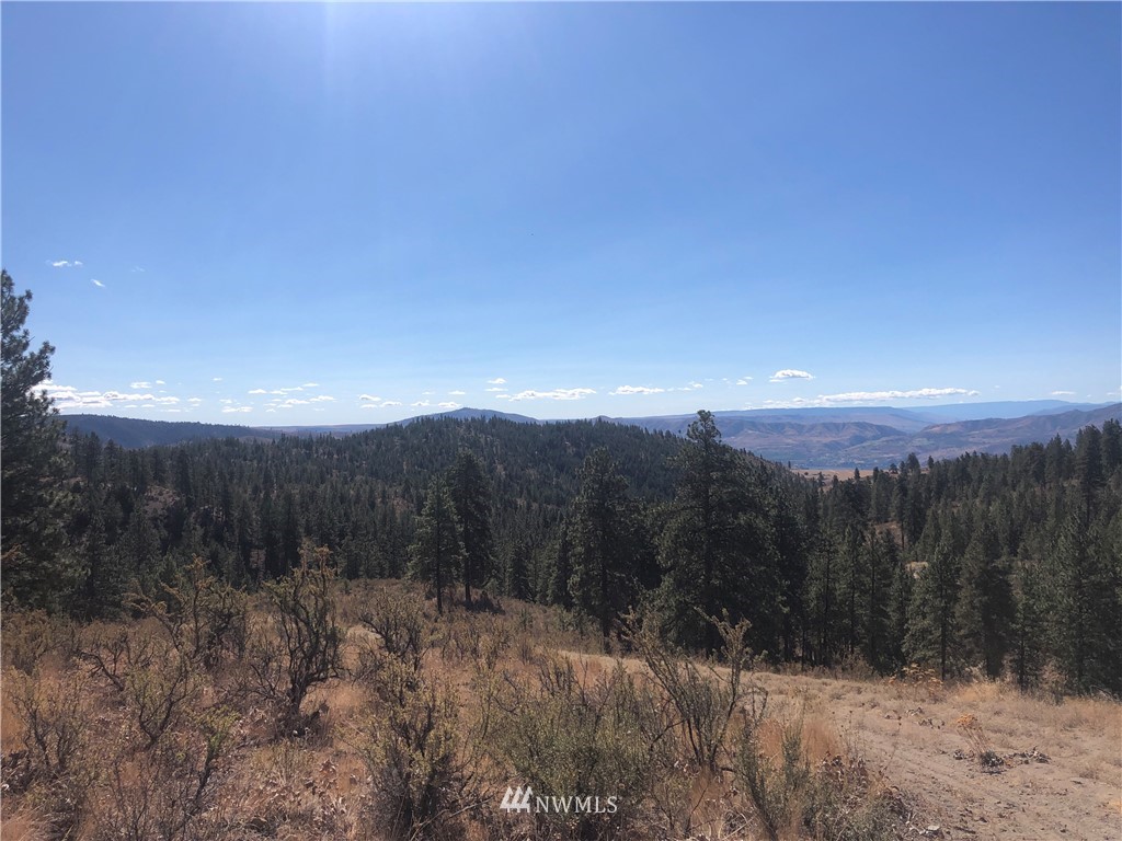-xxxx Swanson Gulch Road Manson, WA 98831 - Photo 20 of 22 Gallery Image 20