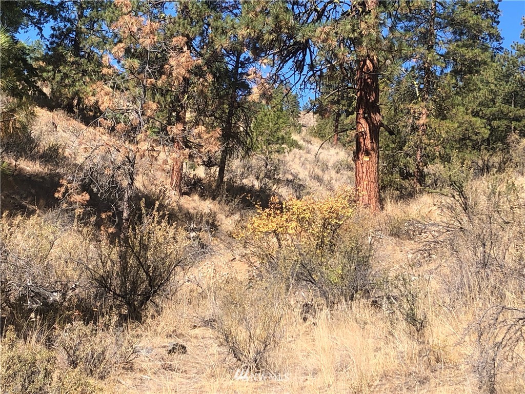 -xxxx Swanson Gulch Road Manson, WA 98831 - Photo 3 of 22 Gallery Image 3