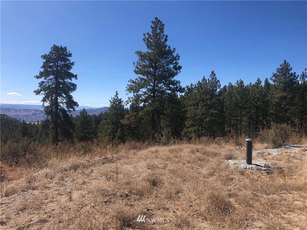 -xxxx Swanson Gulch Road Manson, WA 98831 - Photo 22 of 22 Gallery Image 22