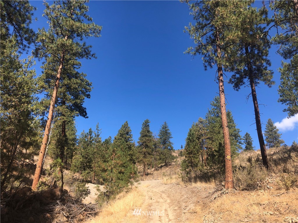 -xxxx Swanson Gulch Road Manson, WA 98831 - Photo 5 of 22 Gallery Image 5