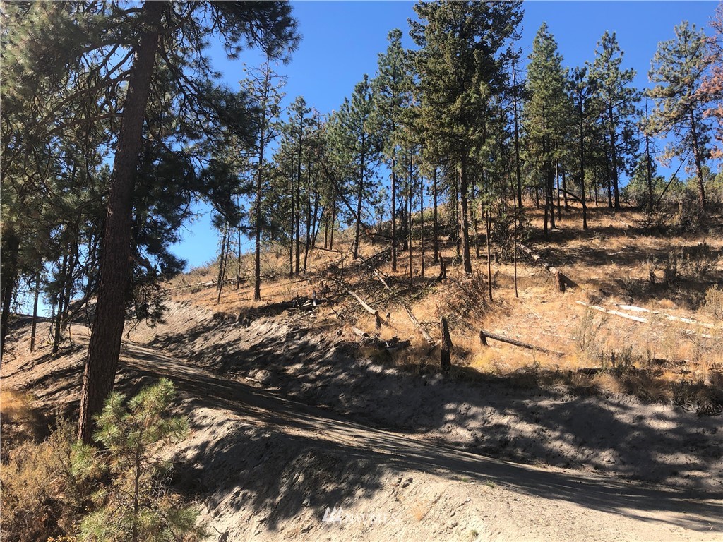 -xxxx Swanson Gulch Road Manson, WA 98831 - Photo 6 of 22 Gallery Image 6