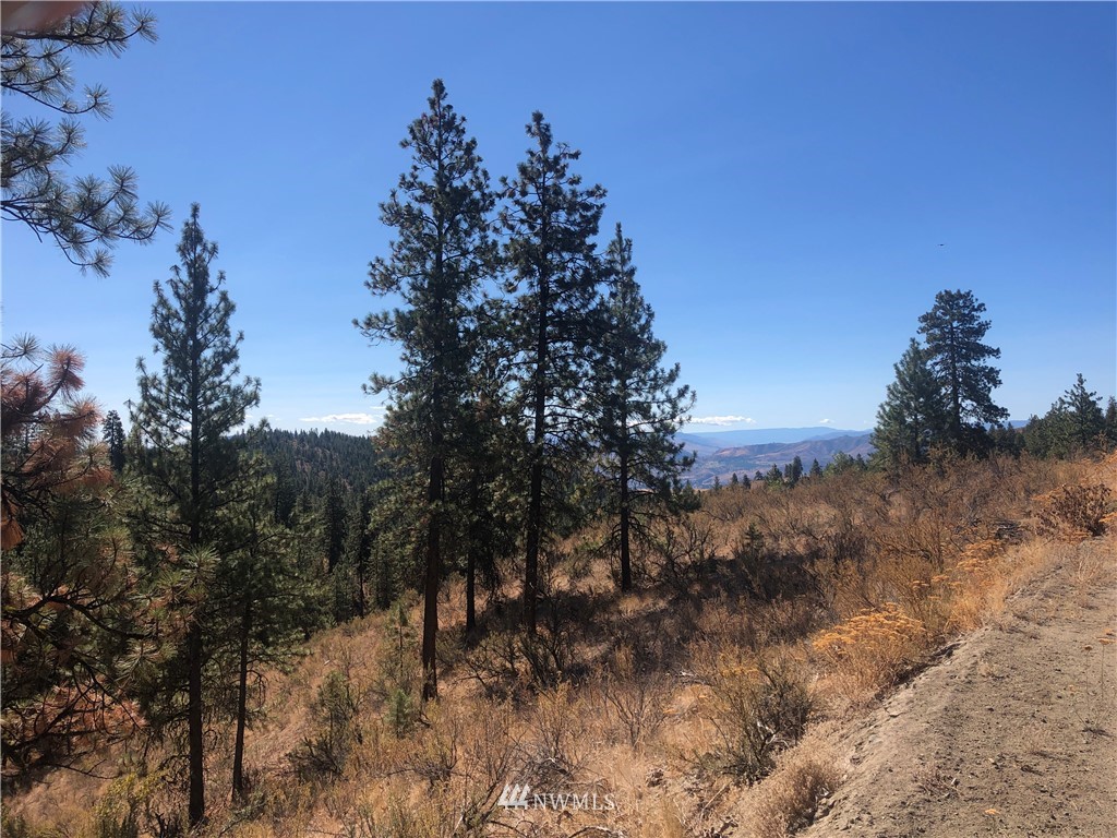 -xxxx Swanson Gulch Road Manson, WA 98831 - Photo 7 of 22 Gallery Image 7