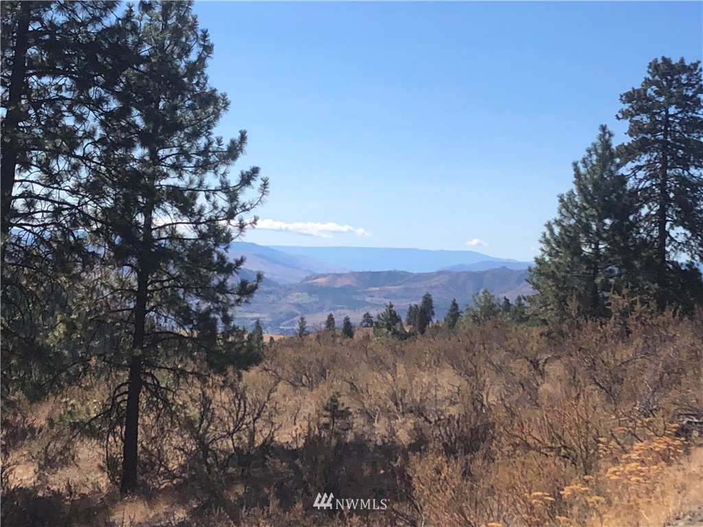 -xxxx Swanson Gulch Road Manson, WA 98831 - Photo 8 of 22 Gallery Image 8