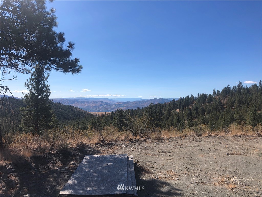 -xxxx Swanson Gulch Road Manson, WA 98831 - Photo 9 of 22 Gallery Image 9