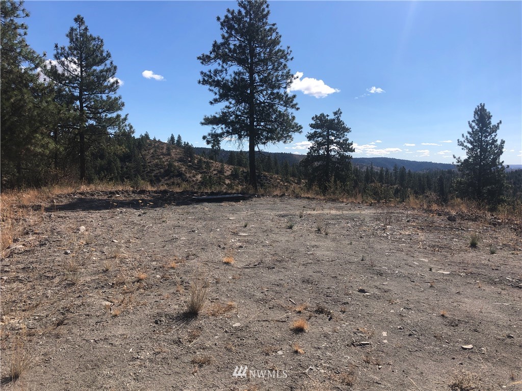 -xxxx Swanson Gulch Road Manson, WA 98831 - Photo 10 of 22 Gallery Image 10