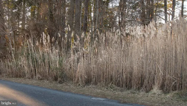 $18,000 | Lot 429 Captains Corridor Corridor, Unit CORRIDOR, Greenbackville, VA 23356