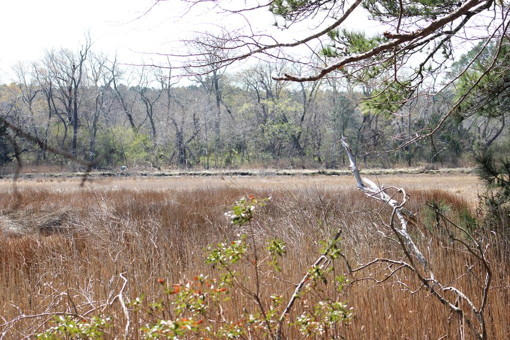 Lot 3-4 Mink Farm Road, Unit 4 3 Onancock, VA 23417 - Photo 12 of 19