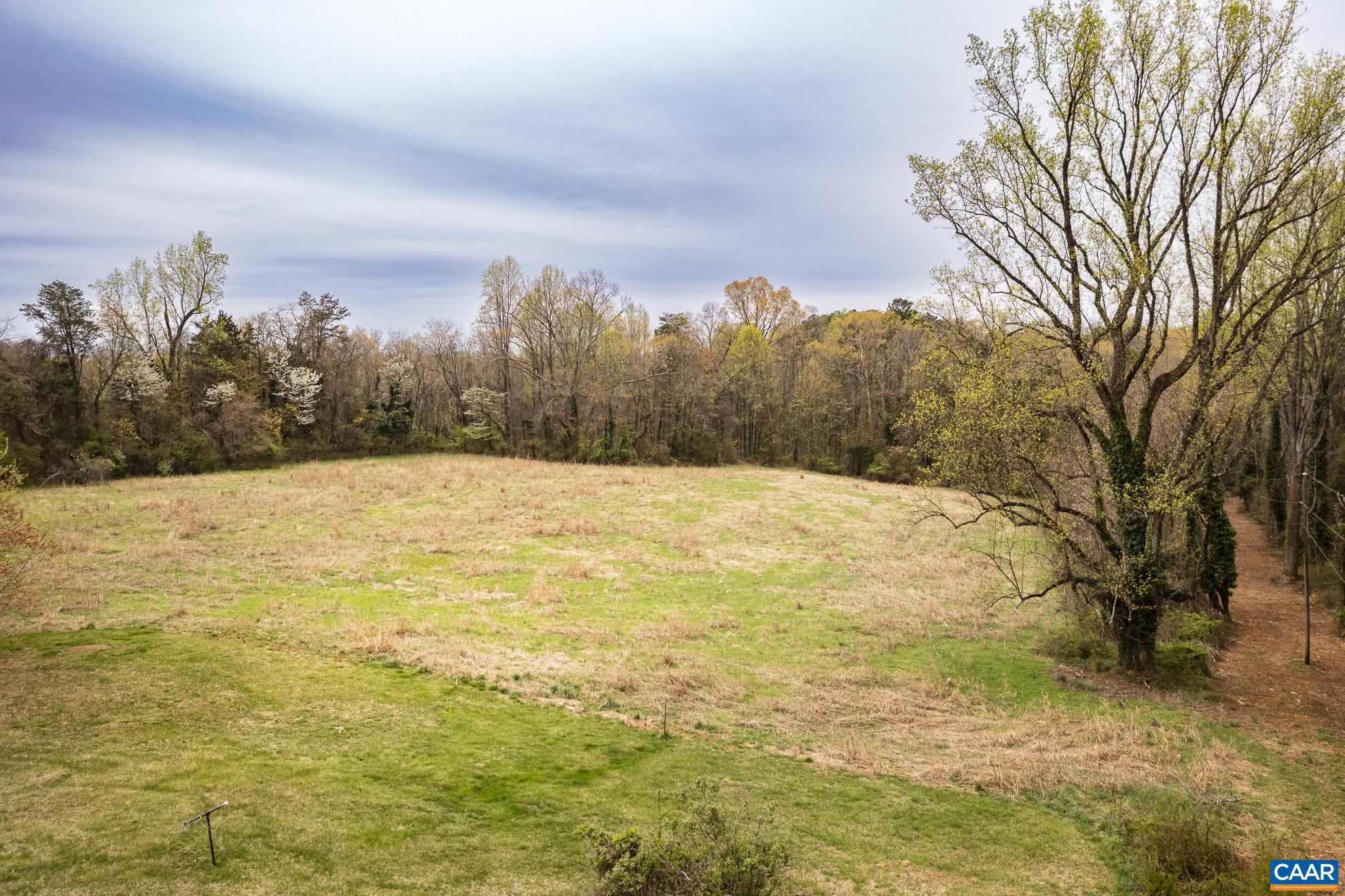 14540 Spotswood Trail Ruckersville, VA 22968 - Photo 37 of 42 a view of a yard with trees in the background