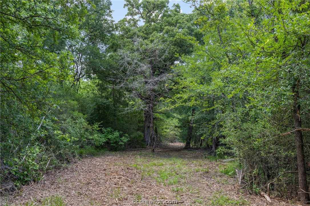 Tbd Weber Road Bryan, TX 77808 - Photo 27 of 43