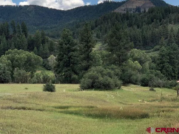 a view of a field with a tree