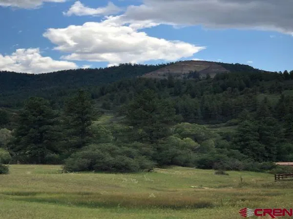 a view of a field of grass and trees