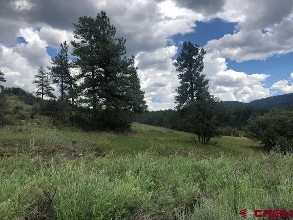 a view of a green field