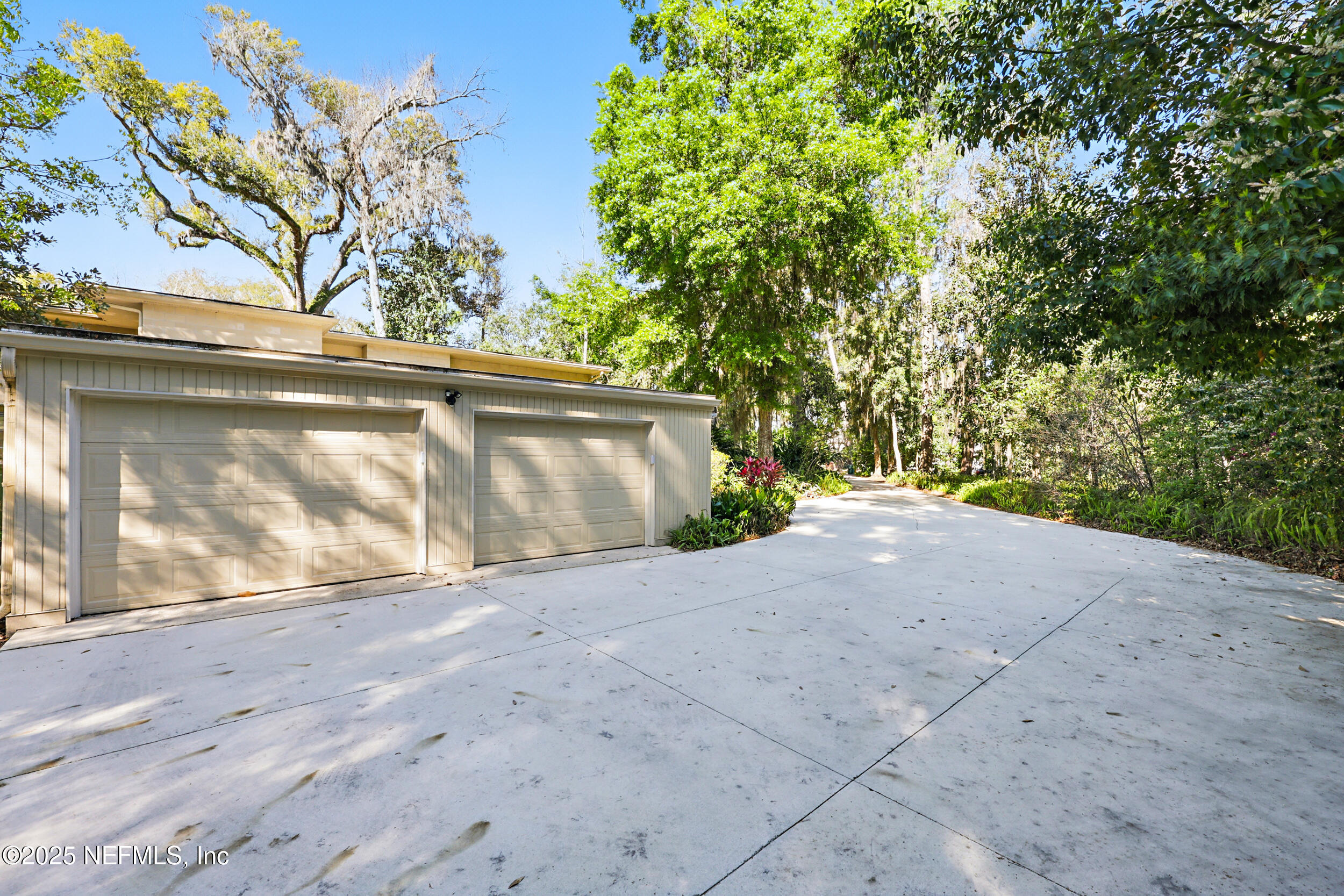 2916 Forest Circle Jacksonville, FL 32257 - Photo 48 of 64 a view of backyard and tree