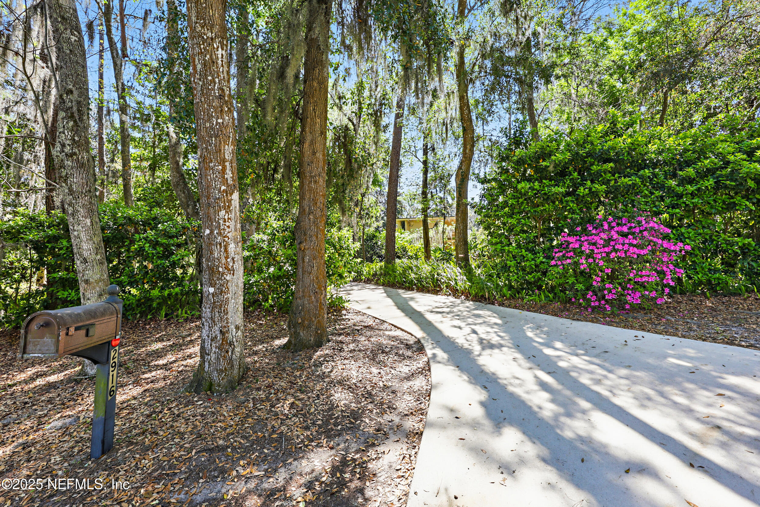 2916 Forest Circle Jacksonville, FL 32257 - Photo 54 of 64 a view of a pathway with a yard