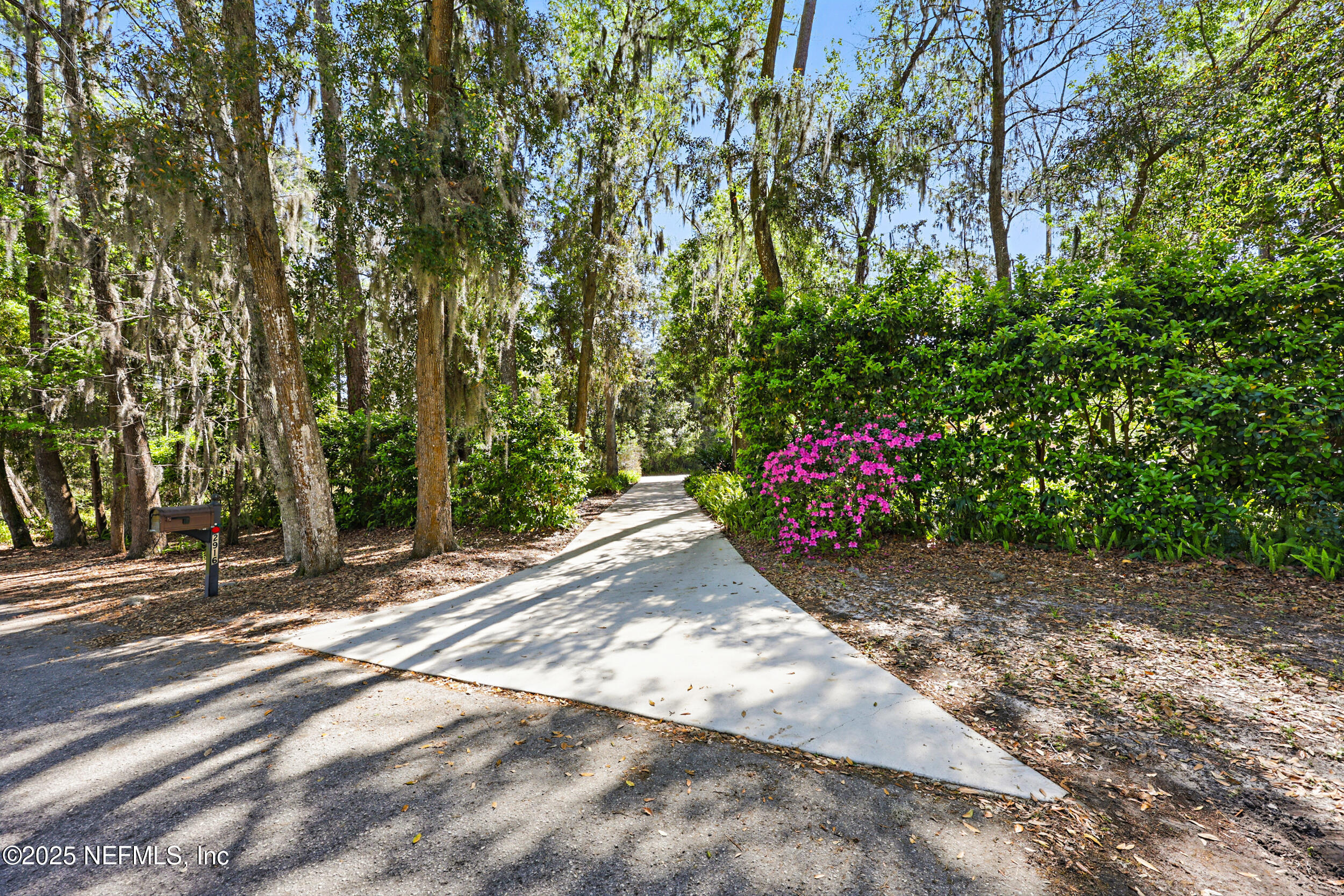 2916 Forest Circle Jacksonville, FL 32257 - Photo 56 of 64 DRIVEWAY