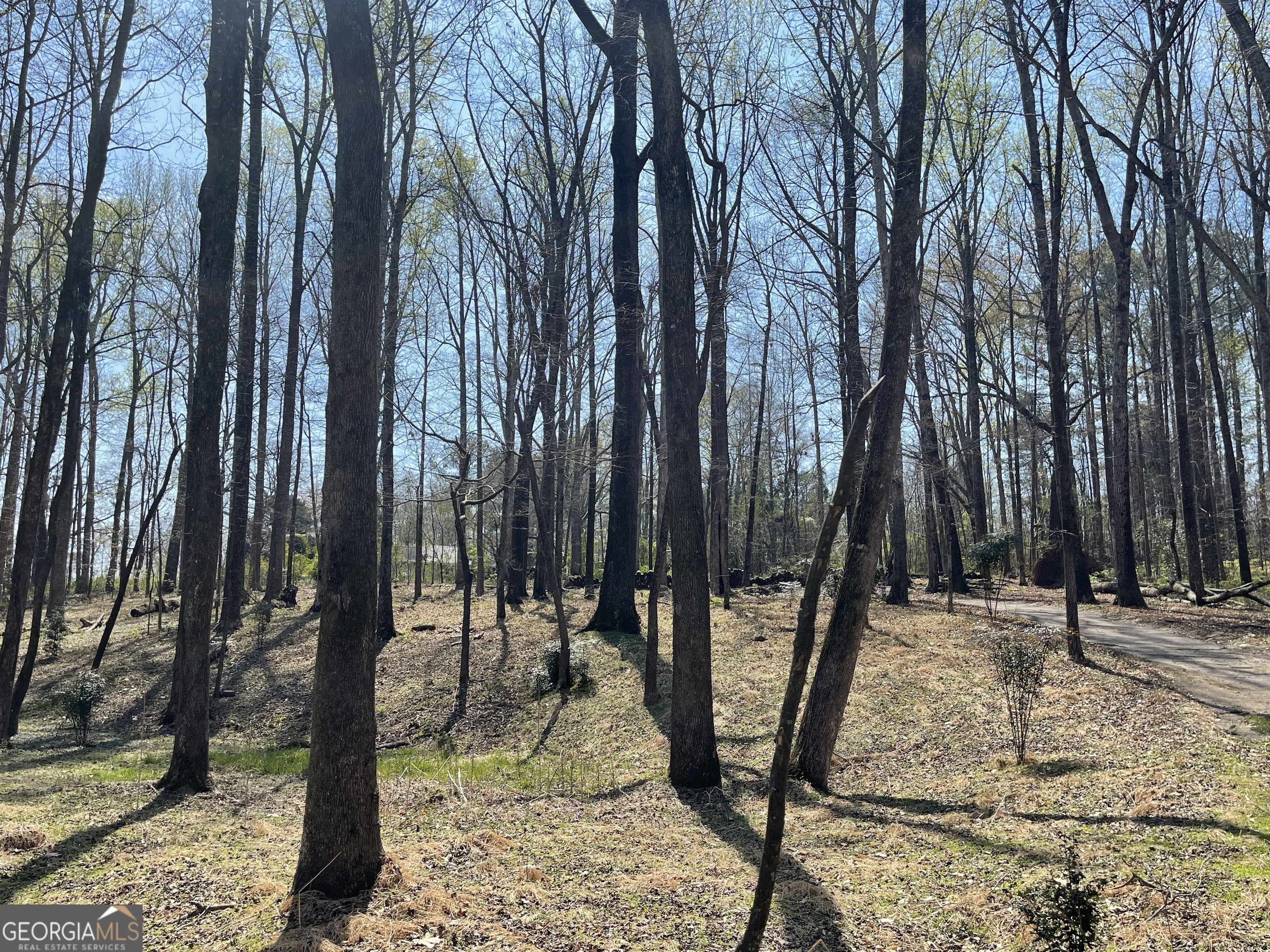 4389 Campbell Road Snellville, GA 30039 - Photo 21 of 29