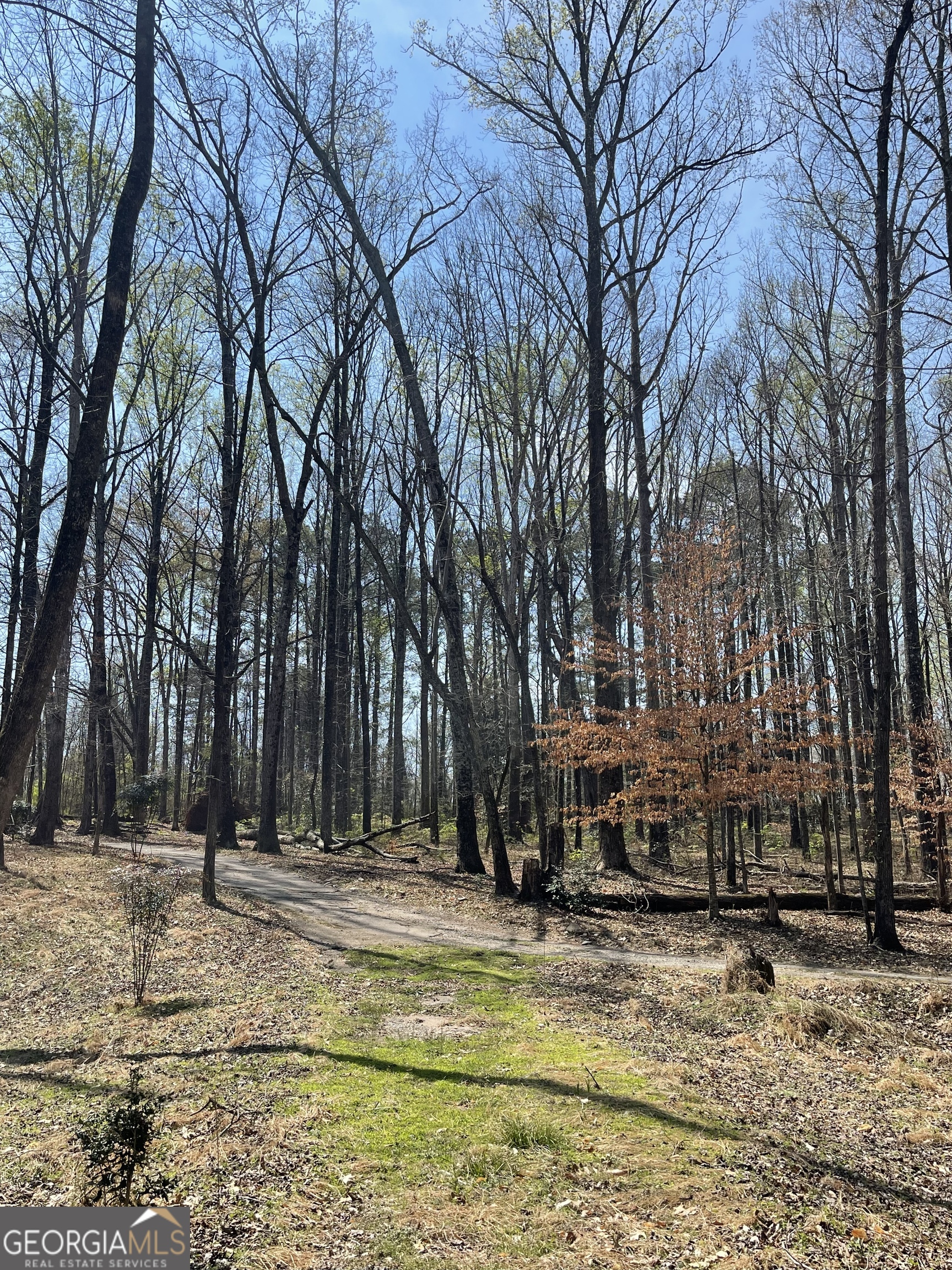 4389 Campbell Road Snellville, GA 30039 - Photo 25 of 29