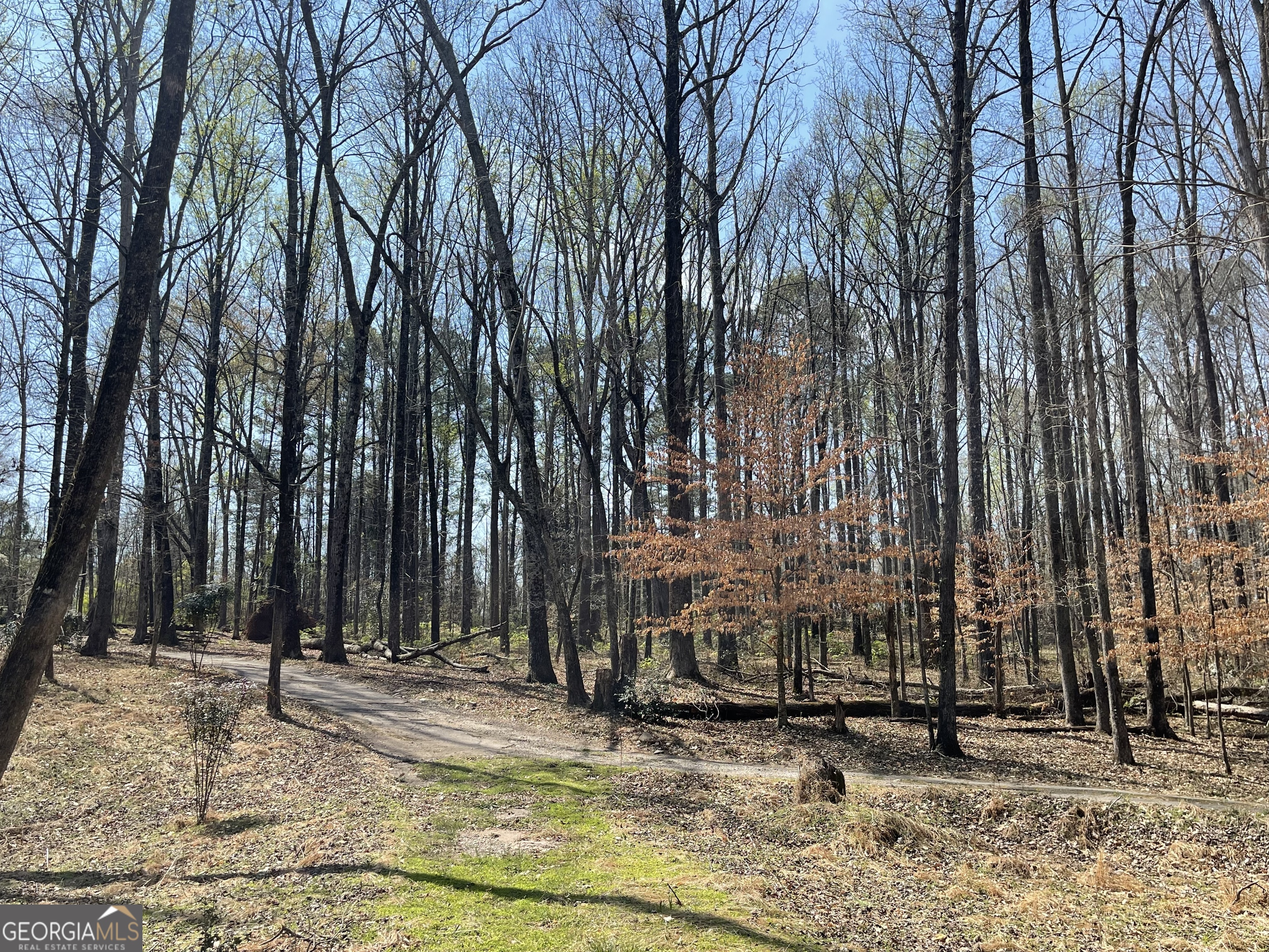 4389 Campbell Road Snellville, GA 30039 - Photo 26 of 29