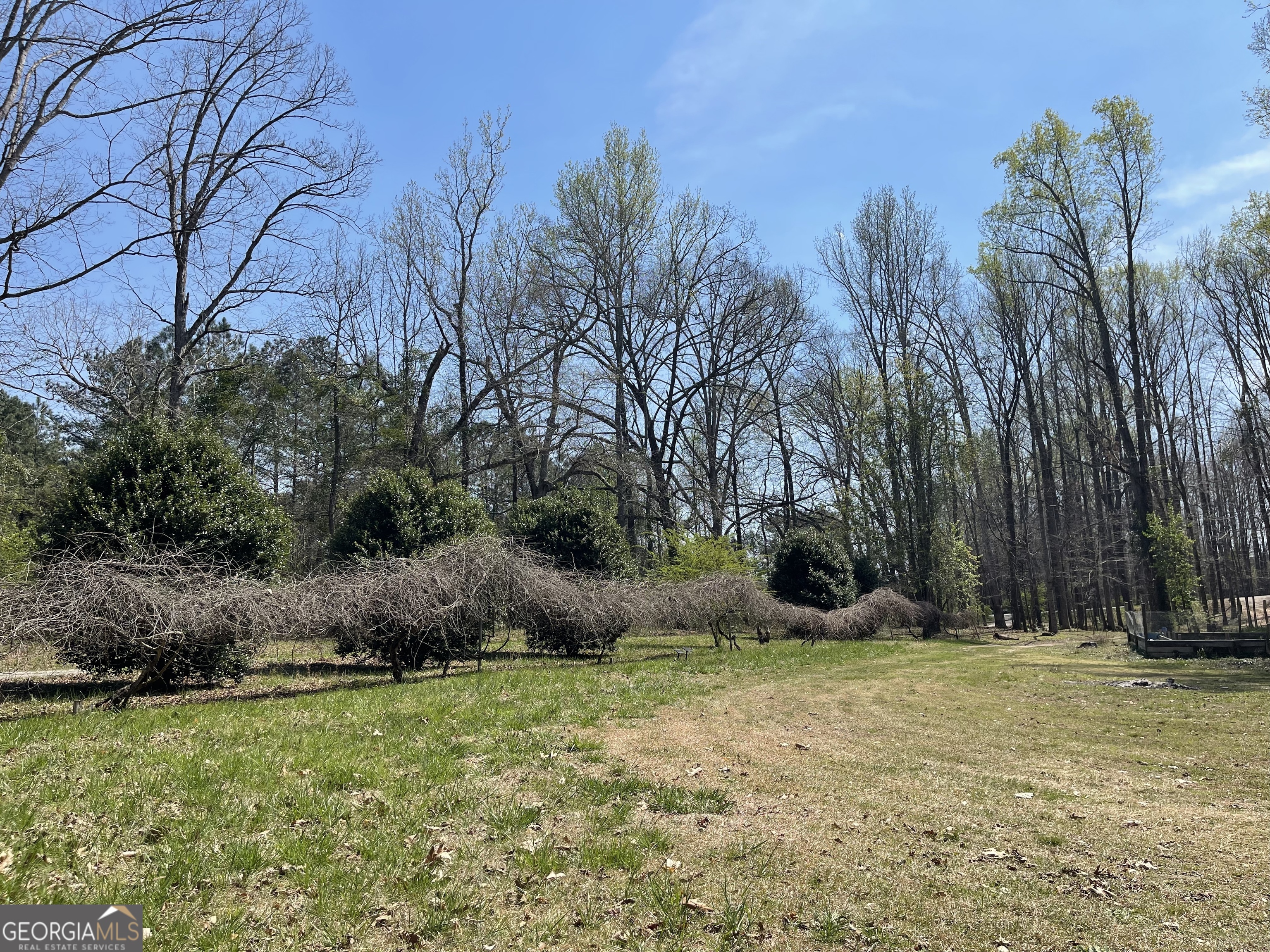 4389 Campbell Road Snellville, GA 30039 - Photo 7 of 29