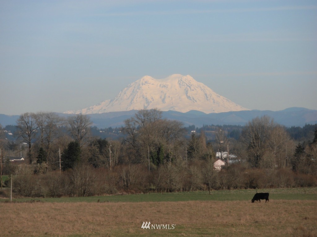 159 Curtis Hill Road Chehalis, WA 98532 - Photo 23 of 24