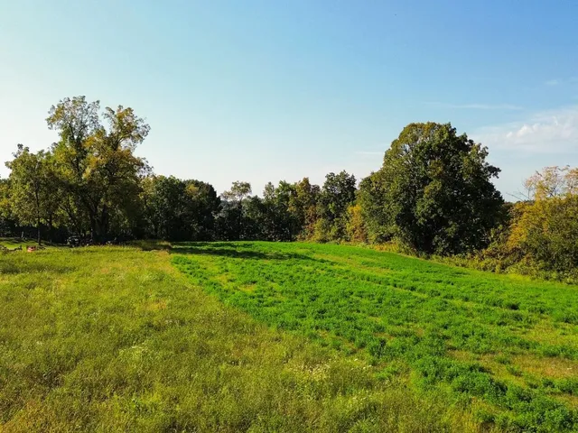 $49,900 | 3-acres 3-acres Farra La, Wonewoc, WI 53968