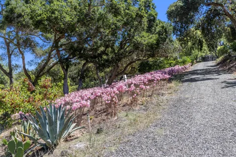 a view of a wooden fence