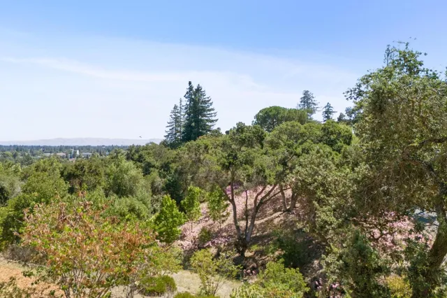 a view of a green field