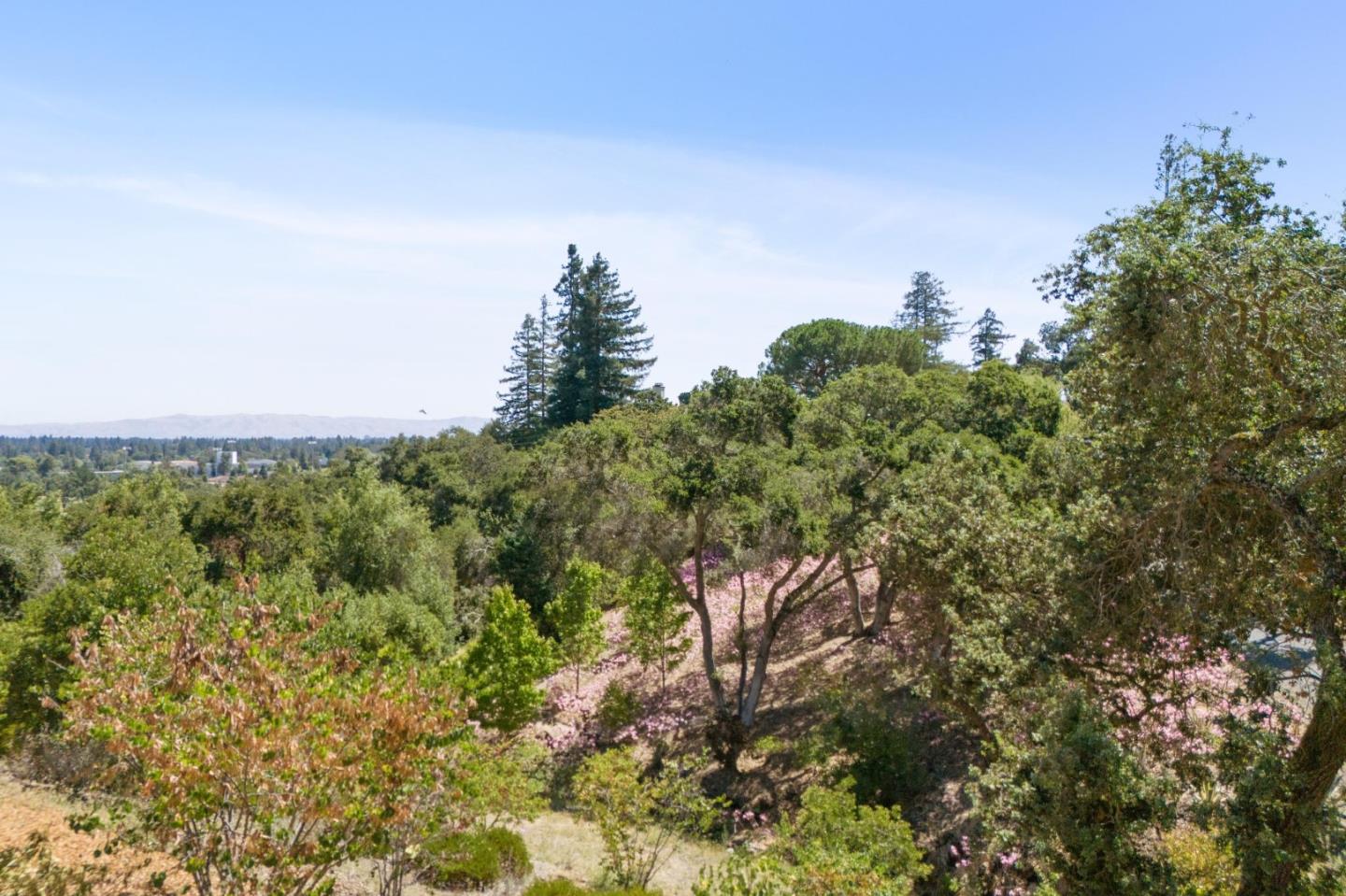 941 High Road Woodside, CA 94062 - Photo 13 of 23 a view of a green field