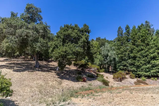a view of a yard with wooden fence
