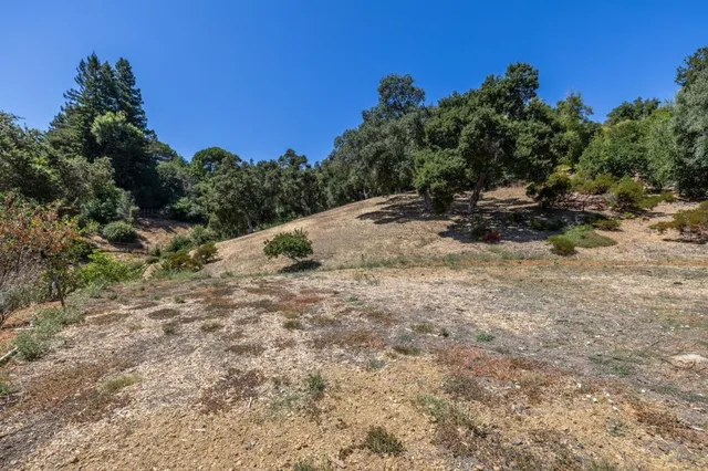 a view of a dry yard with trees in the background